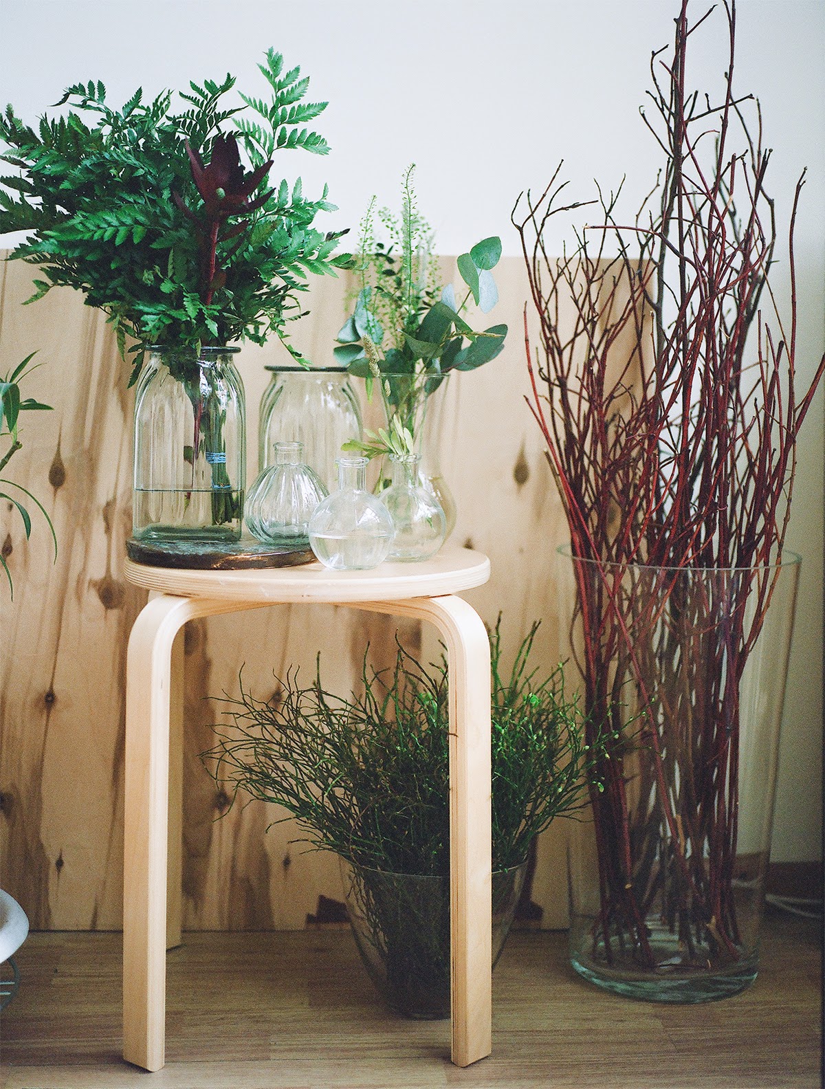 Still life of glass vases holding green foliage and red twigs on a wooden stool against a wood-paneled wall, warm tones