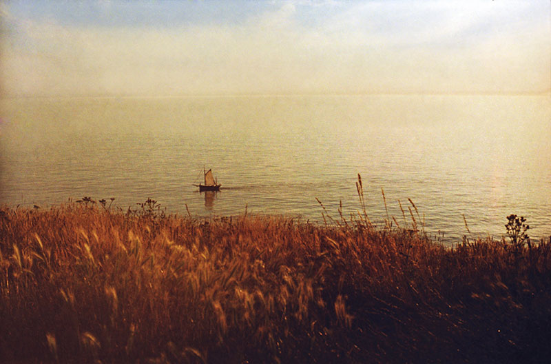 A small sailboat resting on calm water seen beyond golden grasses, warm hazy light, tranquil mood